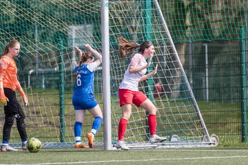Bild 261 - wBJ SC Ellerau - Walddoerfer SV : Ergebnis: 1:8